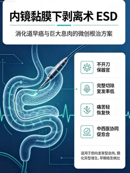 图片2 图片2