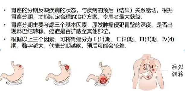 图片2 图片2
