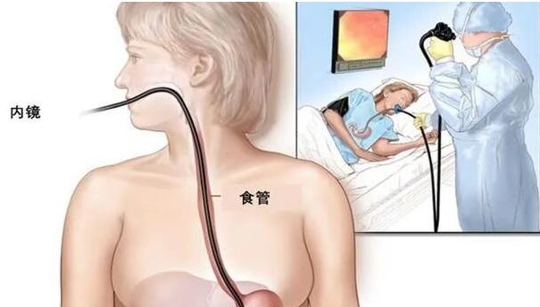 图片4 图片4